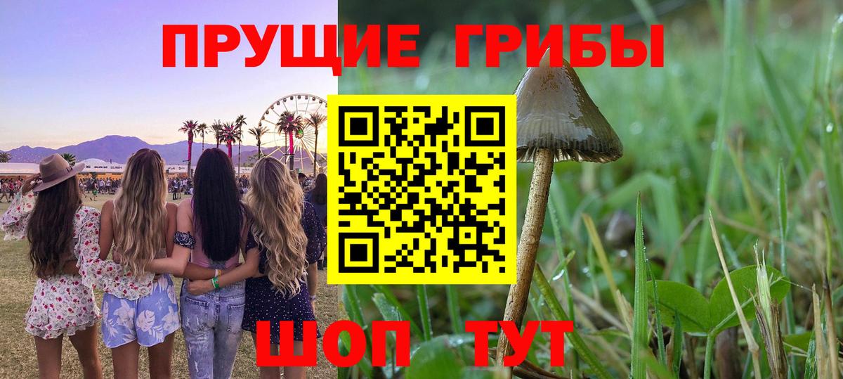 Псилоцибиновые грибы Magic Shrooms Строитель