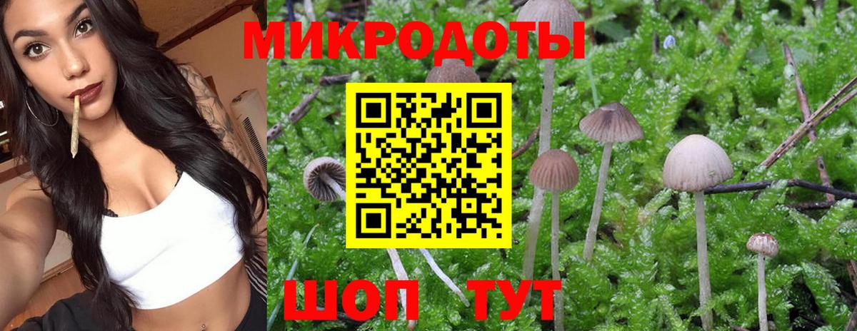 Строитель  Галлюциногенные грибы GOLDEN TEACHER  Вход с VPN  дарнет шоп  Галлюциногенные грибы Psilocybe 